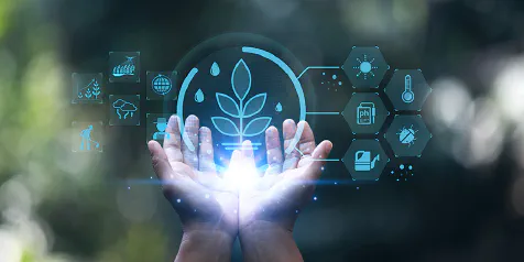 Precision Agriculture and Photonics