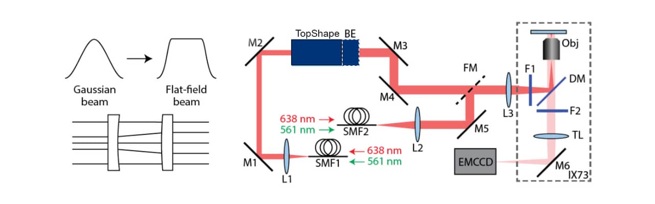 Abbildung 3: (a) Schematische Darstellung der Strahlformung. (b)
Experimenteller Aufbau. FFI wurde mit dem BeamExpander hinter dem
TopShape um das 1,5-fache erweitert, um eine vollflächige Beleuchtung der Probe zu erreichen. © CREOL