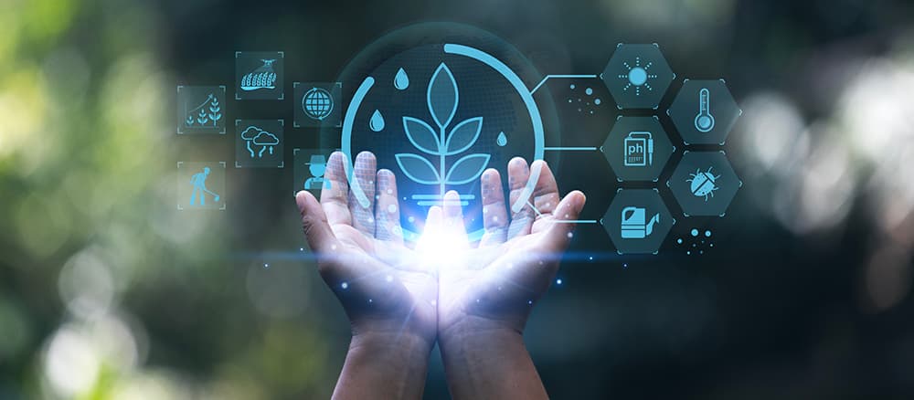 Precision Agriculture and Photonics